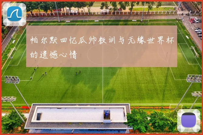 帕尔默回忆瓜帅教训与无缘世界杯的遗憾心情