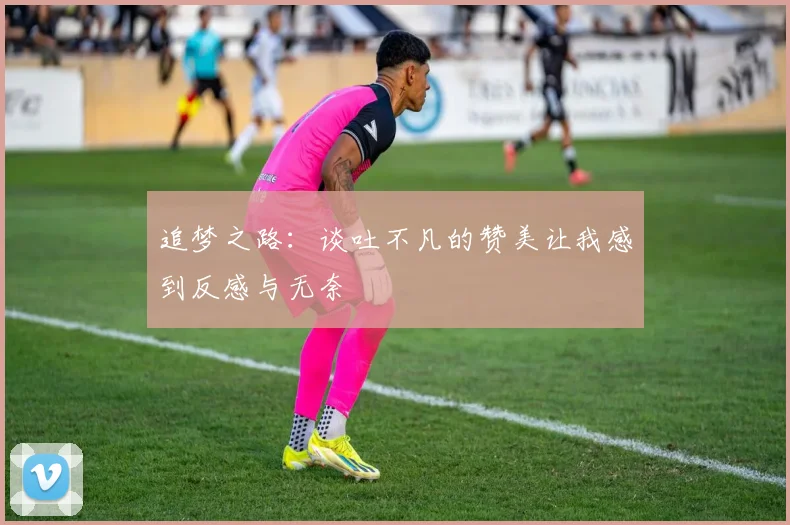 追梦之路：谈吐不凡的赞美让我感到反感与无奈